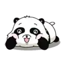 Adhesiu