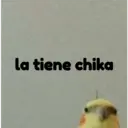 Стикер