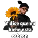 Límmiði