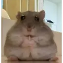 Samolepka