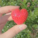 스티커