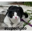 ஸ்டிக்கர்