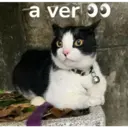 ஸ்டிக்கர்