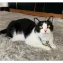 ஸ்டிக்கர்