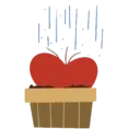 Կպչուն պիտակ