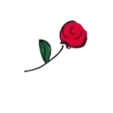 Կպչուն պիտակ