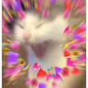 স্টিকার