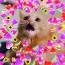 স্টিকার