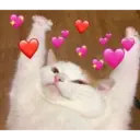 স্টিকার