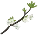 స్టికర్