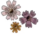 స్టికర్