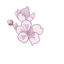 స్టికర్