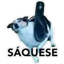 Stiker