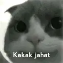 Límmiði