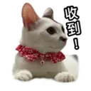 Стикер