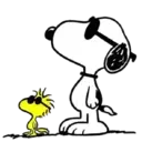 స్టికర్