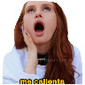 ملصق