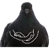 اسٹیکر