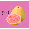 स्टिकर