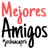 Ngjitës